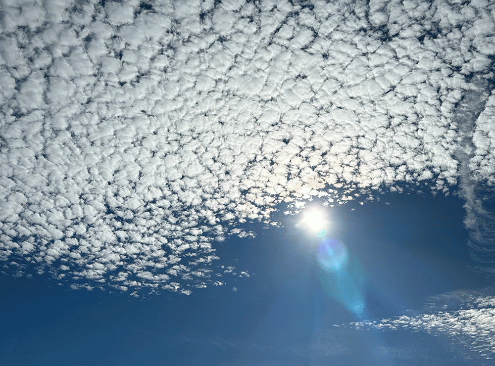 Enhance Your Mental Clarity and Overall Health with These 5 Easy Activities