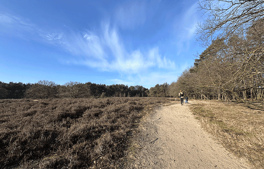 Why you should go take a short walk NOW! - Runder Biltong 