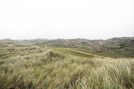 Top 10 Snacks for Your Next Day Hike in the Netherlands - Runder Biltong 